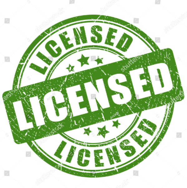 Business License